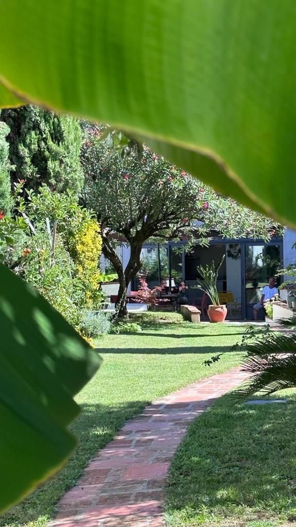 Maison D'Hotes " L'Instant D'Ailleurs" Albi Kültér fotó